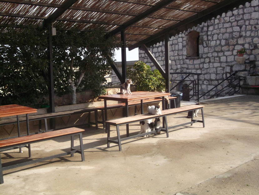 se incalzesc la soare - a doua zi de pelerinaj