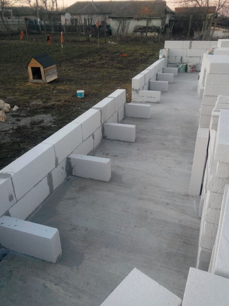  - AAA NOUL ADAPOST PENTRU IEPURI