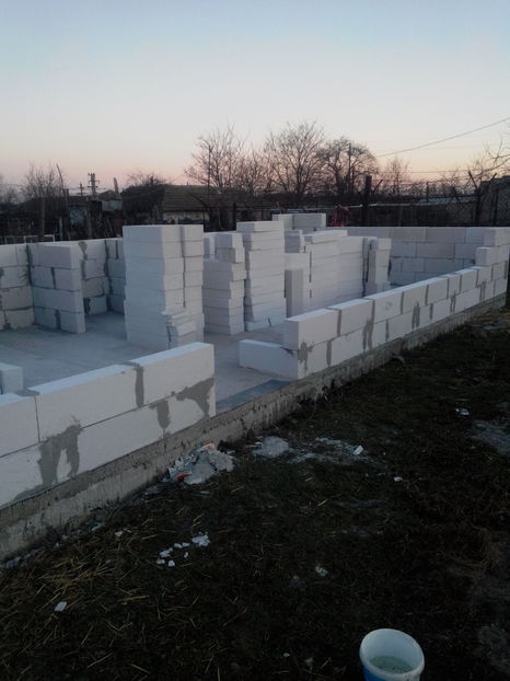  - AAA NOUL ADAPOST PENTRU IEPURI