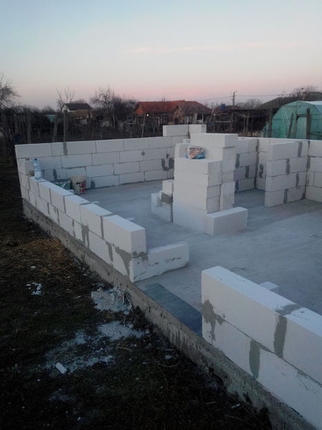  - AAA NOUL ADAPOST PENTRU IEPURI