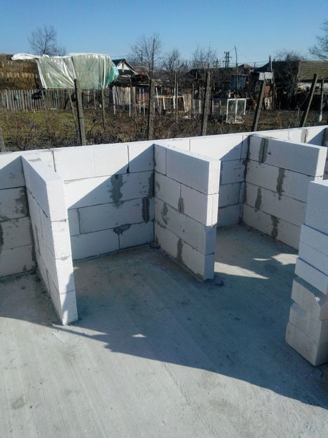  - AAA NOUL ADAPOST PENTRU IEPURI