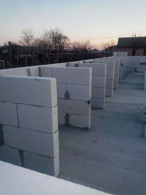  - AAA NOUL ADAPOST PENTRU IEPURI