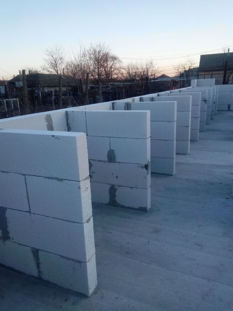  - AAA NOUL ADAPOST PENTRU IEPURI