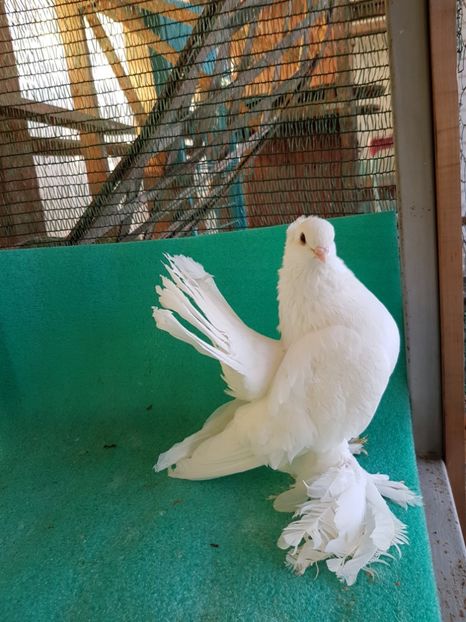 7490, 2016 - Pentru clienti