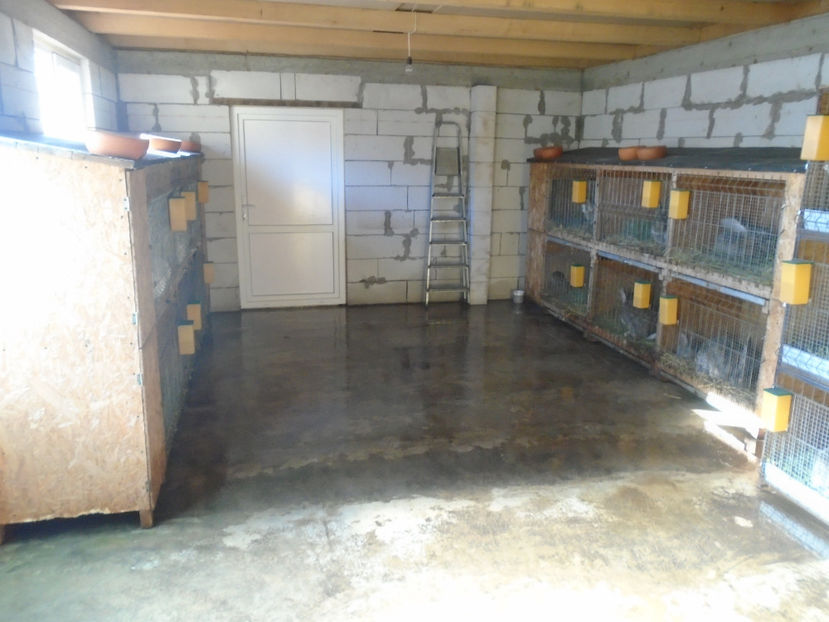  - 0-CUSTI si ADAPOSTUL