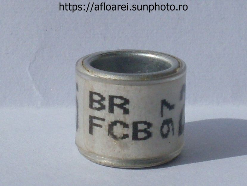 BR FCB 97 - BRAZILIA- BR