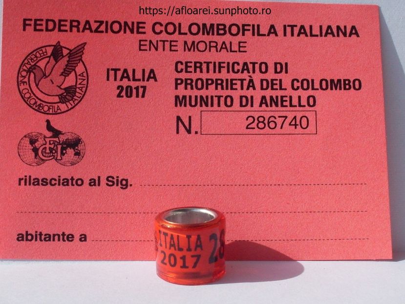 ITALIA 2017 - ITALIA