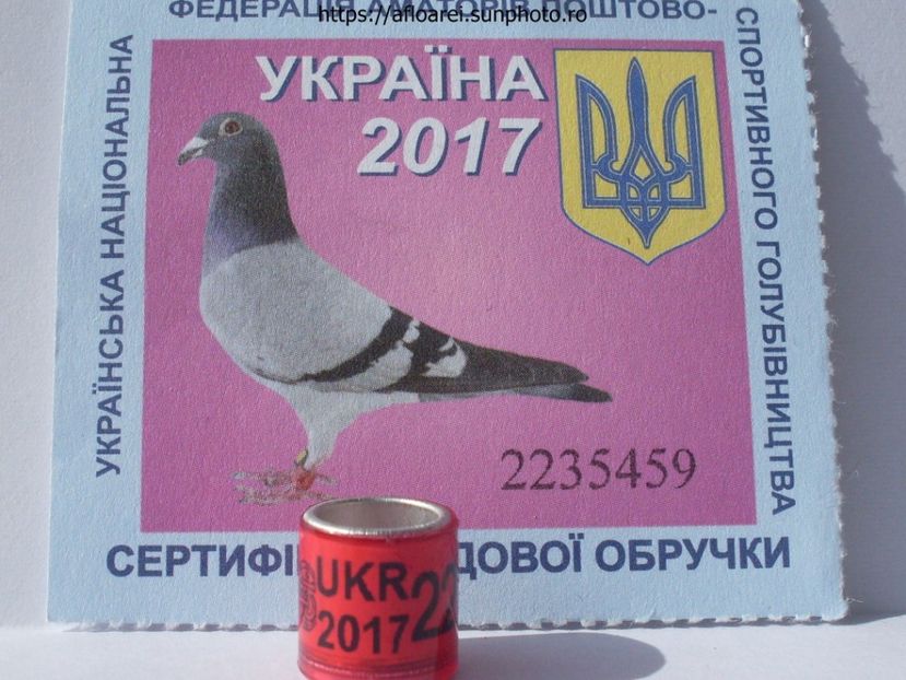 UKR 2017 - UKRAINA-UKR