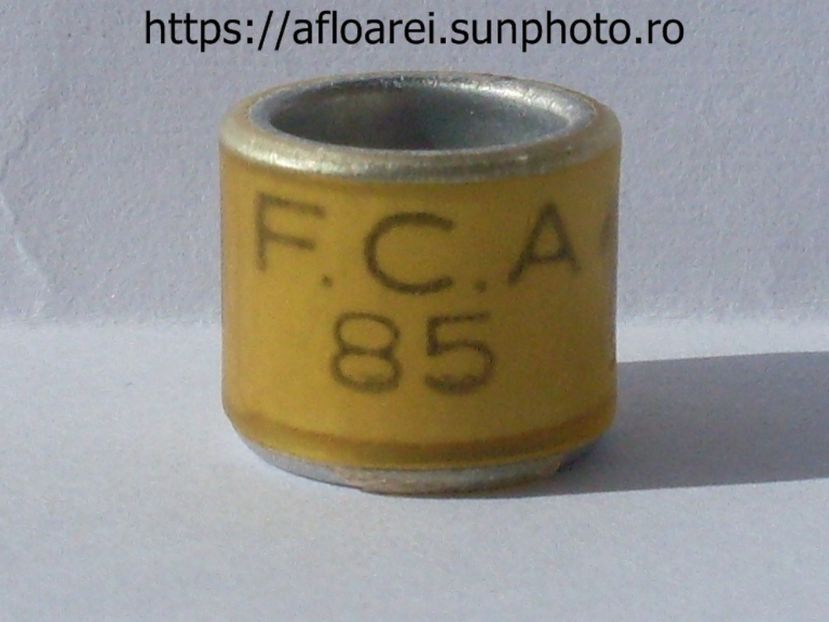 FCA 85 - ARGENTINA -FCA