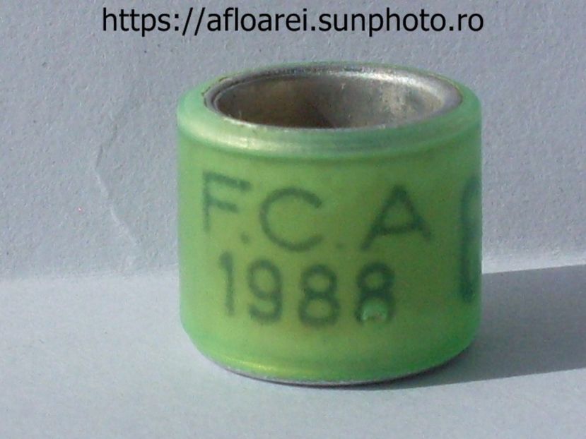 FCA 1988 - ARGENTINA -FCA