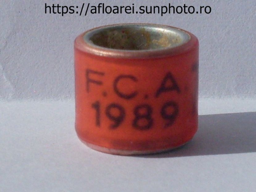 FCA 1989 - ARGENTINA -FCA