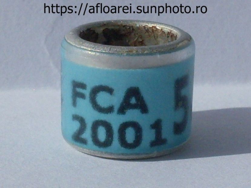 FCA 2001 - ARGENTINA -FCA