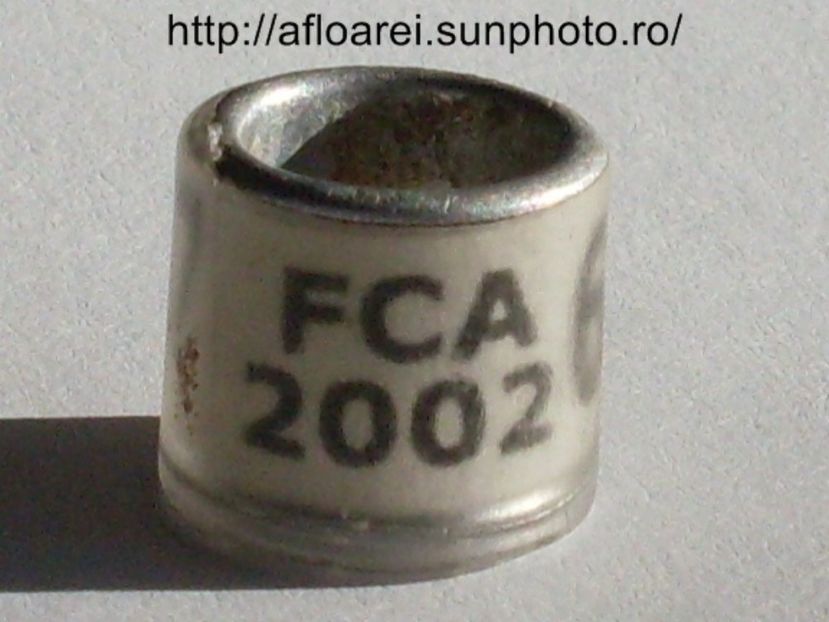 fca 2002 - ARGENTINA -FCA