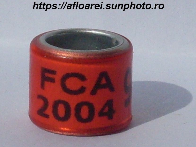 fca 2004 - ARGENTINA -FCA