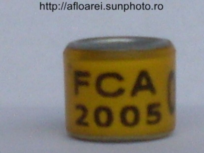 fca 2005 - ARGENTINA -FCA