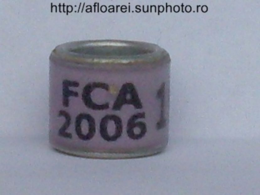 fca 2006 - ARGENTINA -FCA
