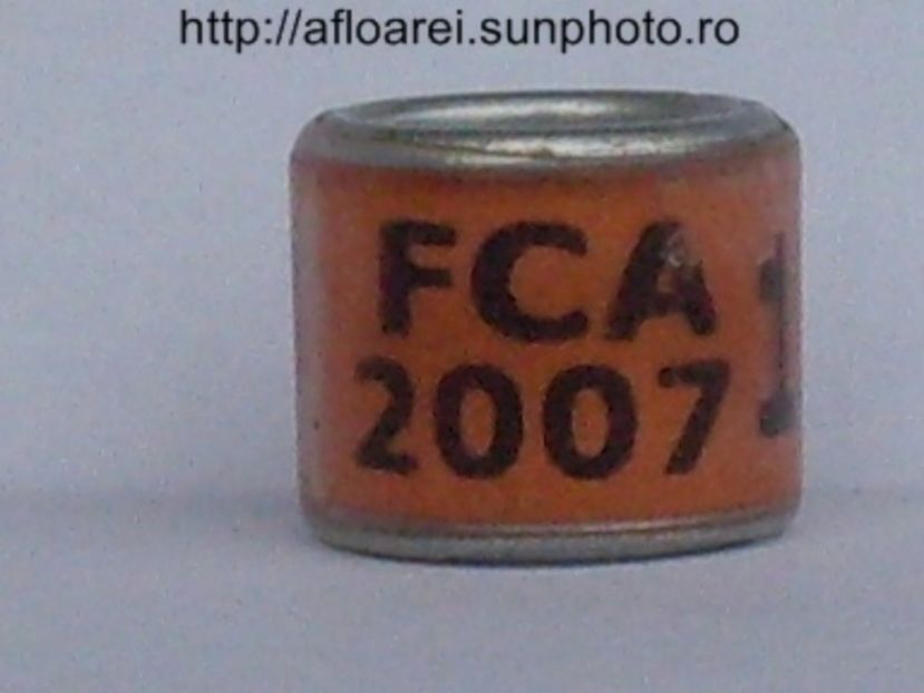 fca 2007 - ARGENTINA -FCA