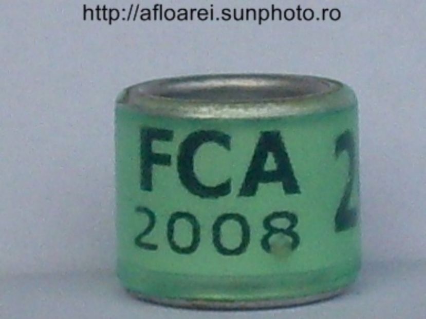 fca 2008 - ARGENTINA -FCA