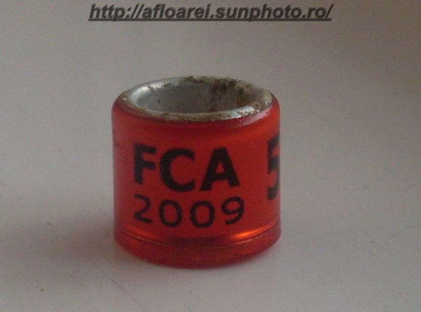 fca 2009 - ARGENTINA -FCA