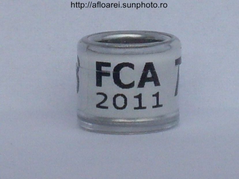 fca 2011 - ARGENTINA -FCA