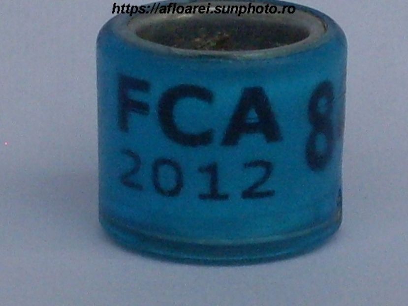 fca 2012 - ARGENTINA -FCA