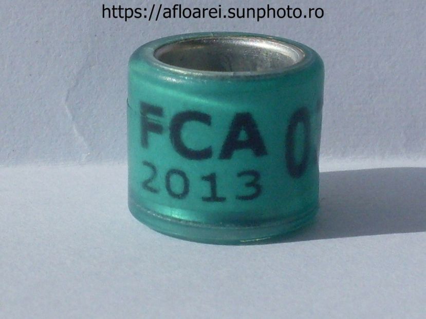 FCA 2013 - ARGENTINA -FCA