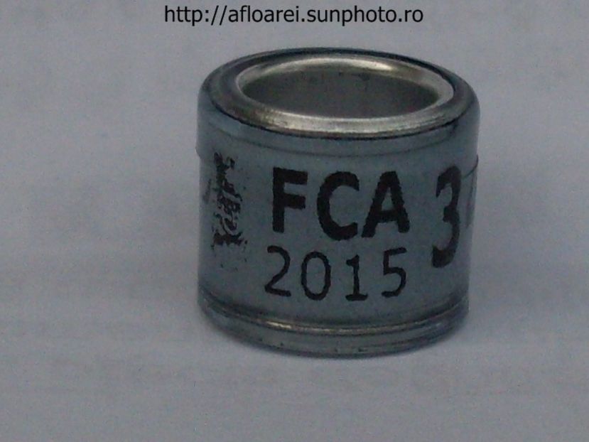 fca 2015 - ARGENTINA -FCA