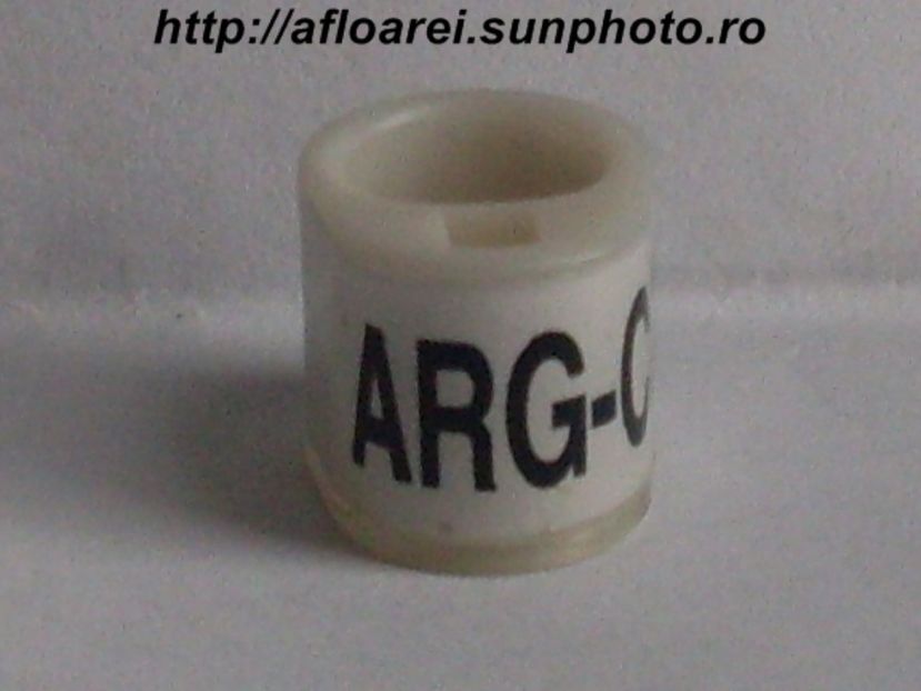 arg-ccp 2007 - ARGENTINA -FCA
