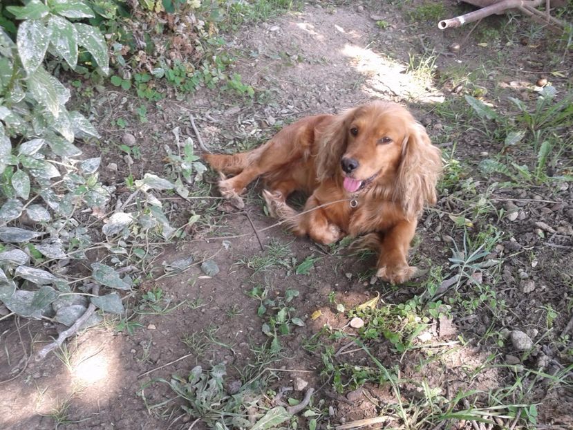 Fotografie-0014 - Roky