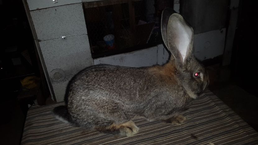 05.03.2017 - M 1-94_5p