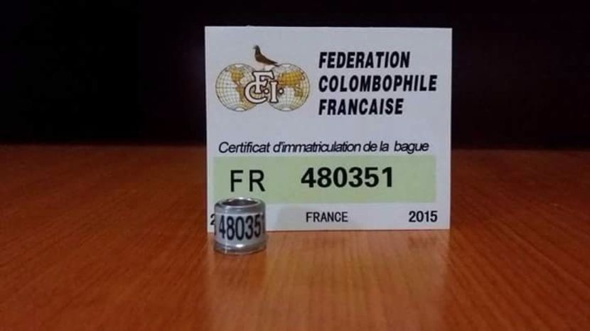  - Inele Franta - 30 piese