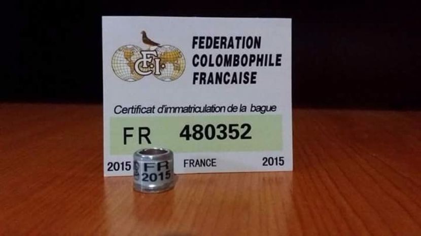  - Inele Franta - 30 piese