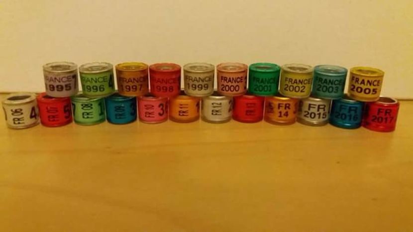  - Inele Franta - 30 piese