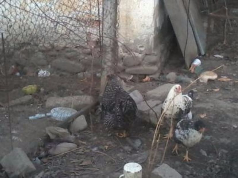 eJwNyEESwiAMAMC_cBdokND2Af4jQzHFaQ0D8eT4d7vH_ZpPP8xqdtU2Vue2OrL0zQ6VTlwsi_BRqNVhs5yOVCnvZ3nrcJAgLjNM - Chi