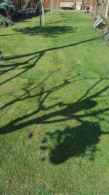  - 2017 Iarasi Primavara