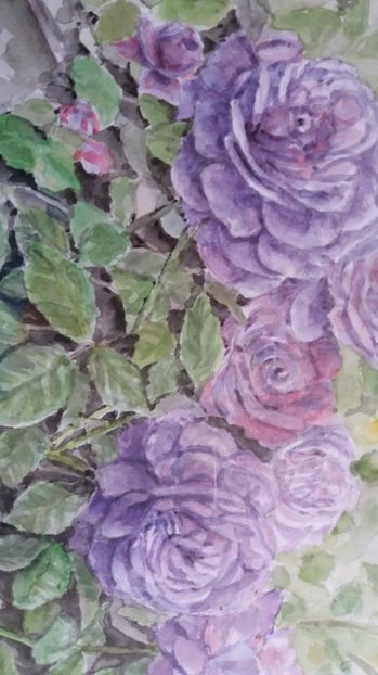  - Trandafiri si alte flori in acuarela