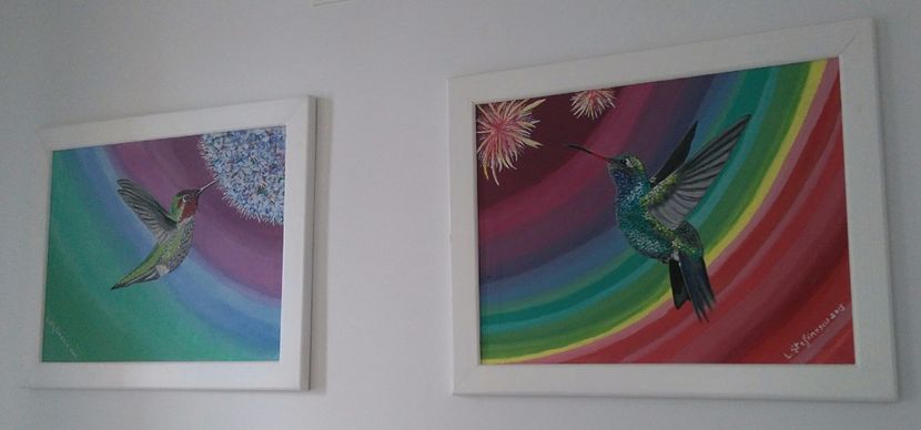 Set colibri - Tablouri de vanzare