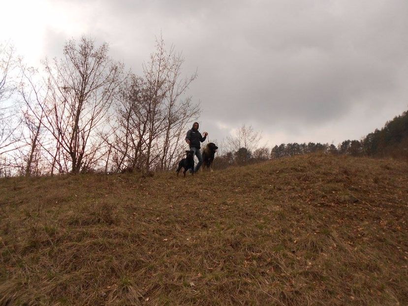  - Boyka Ciobanesc Caucazian video