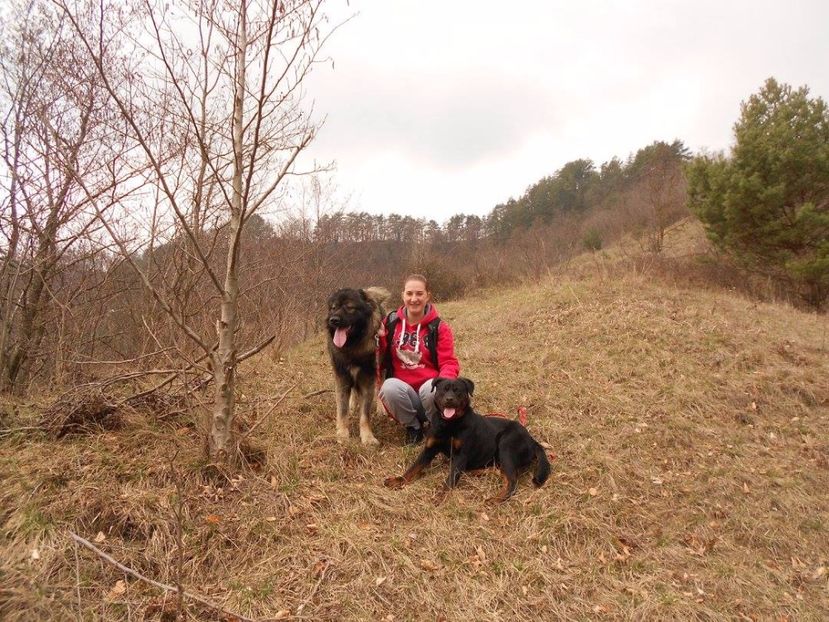  - Boyka Ciobanesc Caucazian video