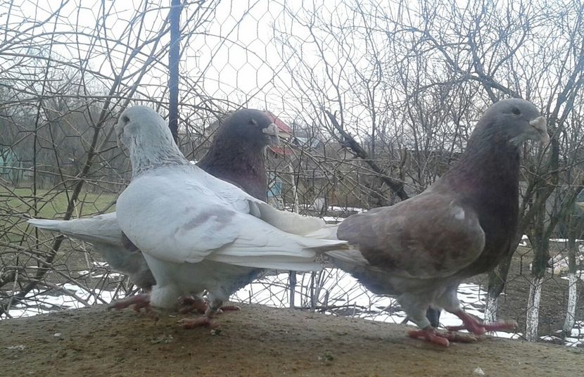 20170221_135925-1 - Contact