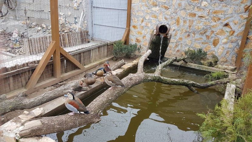 17195546_1849909788580996_1570823432_o - RATE EXOTICE