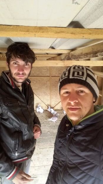 Eu si prietenul meu mihay - Contact