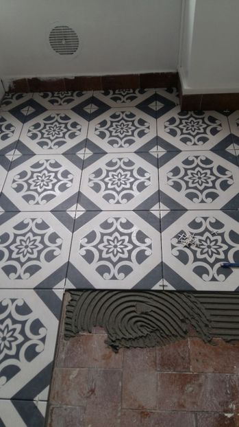  - Photo lucrarile mele in Lyon