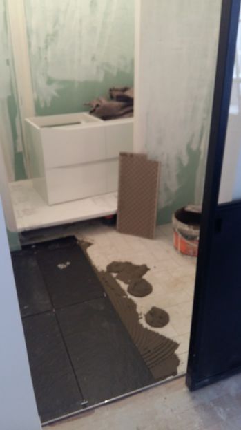  - Photo lucrarile mele in Lyon