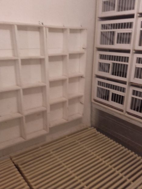 Pregătire pentru noul sezon - CONTACT