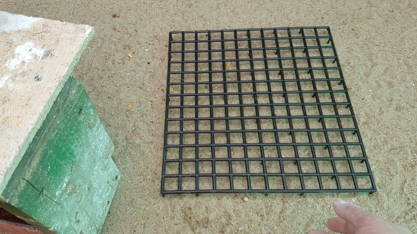  - 7___   VOLIERA MEA