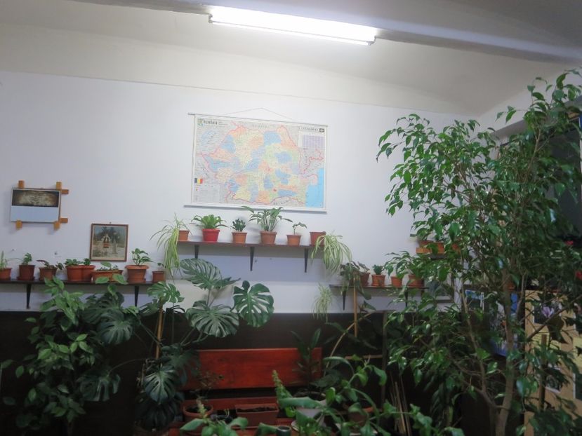  - Green office