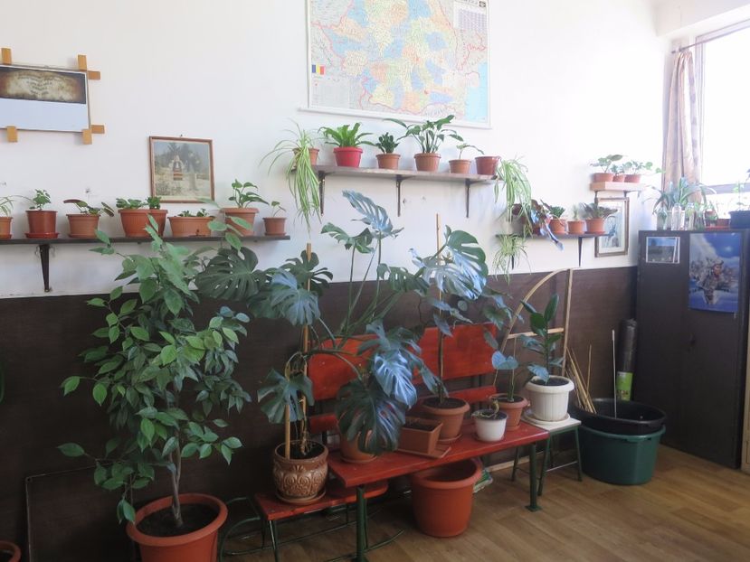  - Green office