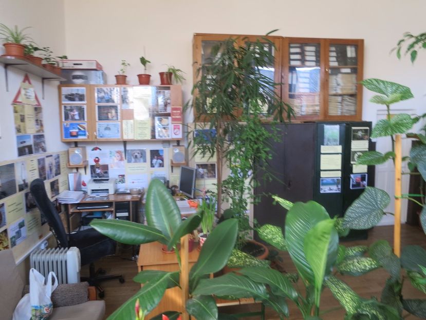  - Green office