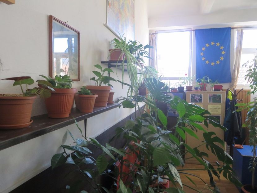  - Green office